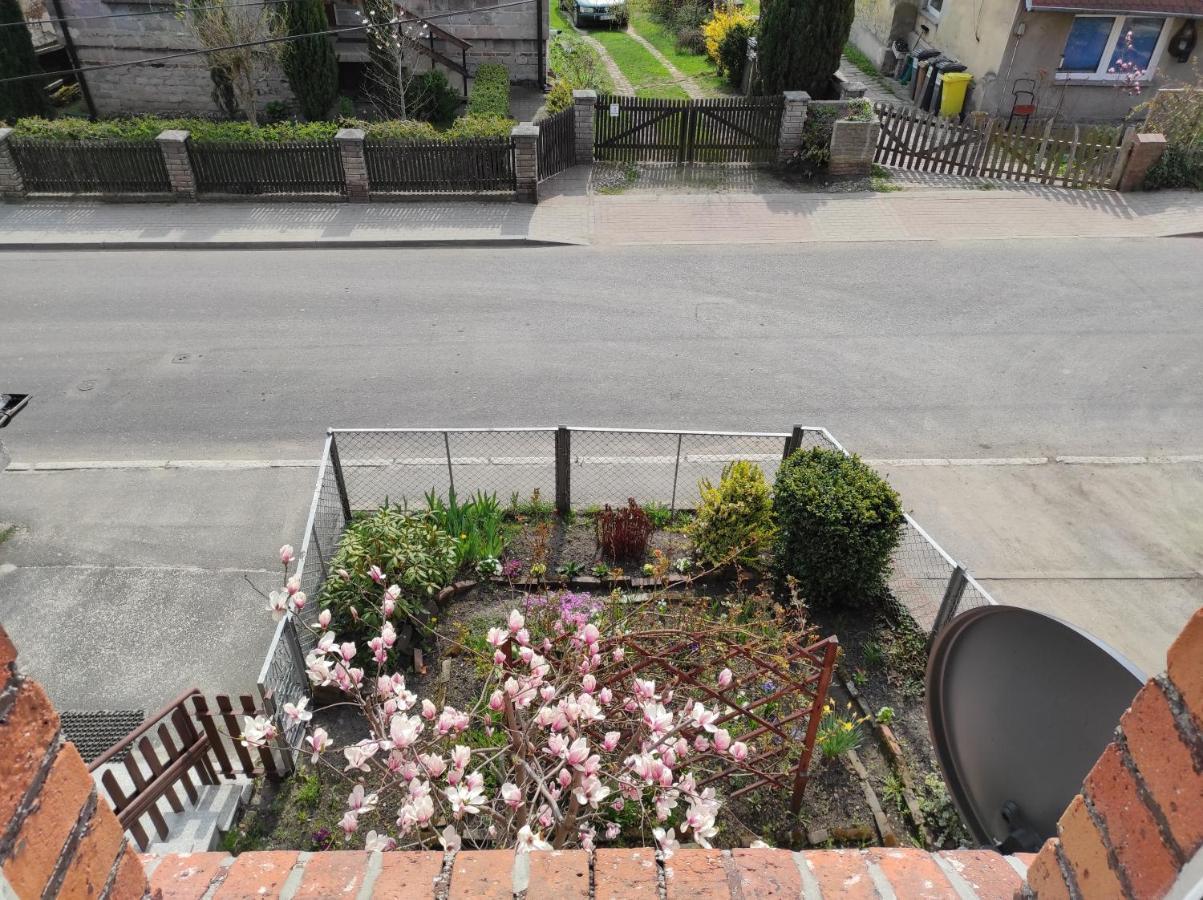 Apartament Pod Jalowcem Gory Sowie 533-543-732 耶德利纳-兹德鲁伊 外观 照片